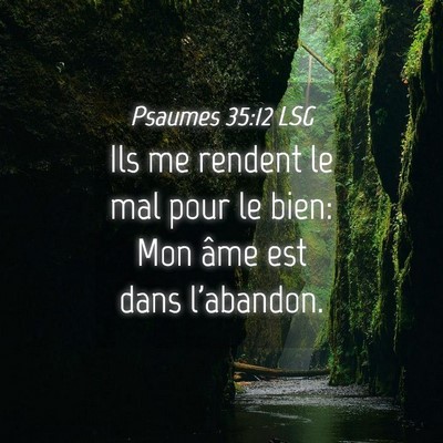 Picture 04 - Psaumes 35:12 LSG - Ils me rendent le mal pour le bien: Mon âme est - Bible Verse Picture