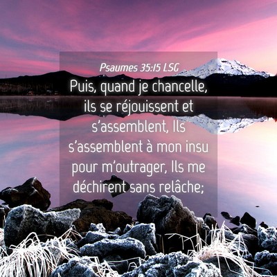 Picture 04 - Psaumes 35:15 LSG - Puis, quand je chancelle, ils se réjouissent et - Bible Verse Picture