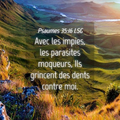Picture 04 - Psaumes 35:16 LSG - Avec les impies, les parasites moqueurs, Ils - Bible Verse Picture