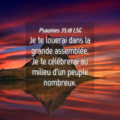 Picture 04 - Psaumes 35:18 LSG - Je te louerai dans la grande assemblée, Je te - Bible Verse Picture