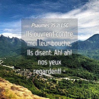 Picture 04 - Psaumes 35:21 LSG - Ils ouvrent contre moi leur bouche, Ils disent: - Bible Verse Picture