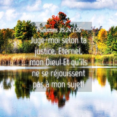 Picture 04 - Psaumes 35:24 LSG - Juge-moi selon ta justice, Eternel, mon Dieu! Et - Bible Verse Picture