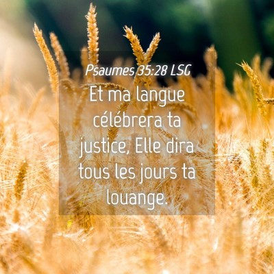 Picture 04 - Psaumes 35:28 LSG - Et ma langue célébrera ta justice, Elle dira - Bible Verse Picture