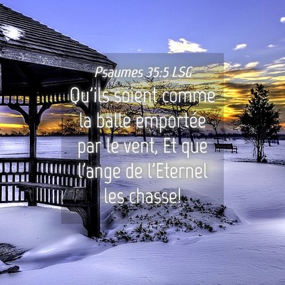 Picture 04 - Psaumes 35:5 LSG - Qu'ils soient comme la balle emportée par le - Bible Verse Picture