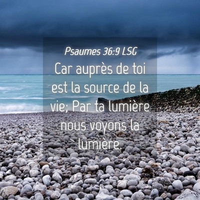 Picture 04 - Psaumes 36:9 LSG - Car auprès de toi est la source de la vie; Par - Bible Verse Picture
