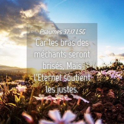 Picture 04 - Psaumes 37:17 LSG - Car les bras des méchants seront brisés, Mais - Bible Verse Picture