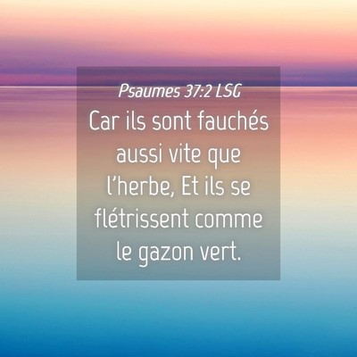 Picture 04 - Psaumes 37:2 LSG - Car ils sont fauchés aussi vite que l'herbe, Et - Bible Verse Picture