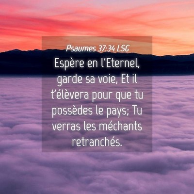 Picture 04 - Psaumes 37:34 LSG - Espère en l'Eternel, garde sa voie, Et il - Bible Verse Picture