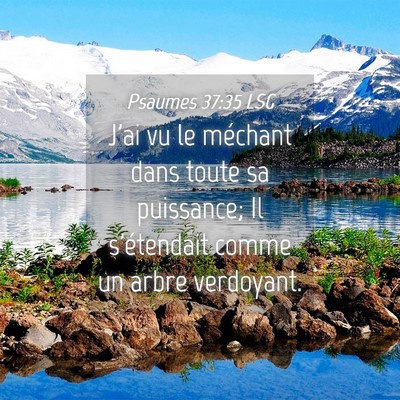 Picture 04 - Psaumes 37:35 LSG - J'ai vu le méchant dans toute sa puissance; Il - Bible Verse Picture