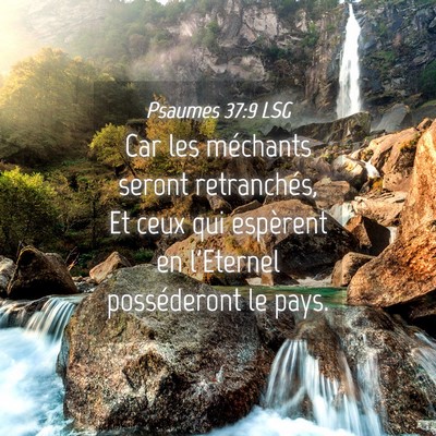 Picture 04 - Psaumes 37:9 LSG - Car les méchants seront retranchés, Et ceux qui - Bible Verse Picture