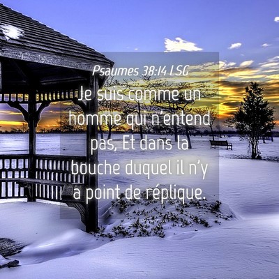 Picture 04 - Psaumes 38:14 LSG - Je suis comme un homme qui n'entend pas, Et dans - Bible Verse Picture