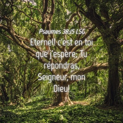 Picture 04 - Psaumes 38:15 LSG - Eternel! c'est en toi que j'espère; Tu - Bible Verse Picture
