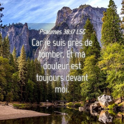 Picture 04 - Psaumes 38:17 LSG - Car je suis près de tomber, Et ma douleur est - Bible Verse Picture