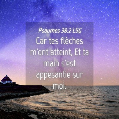 Picture 04 - Psaumes 38:2 LSG - Car tes flèches m'ont atteint, Et ta main s'est - Bible Verse Picture