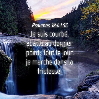 Picture 04 - Psaumes 38:6 LSG - Je suis courbé, abattu au dernier point; Tout le - Bible Verse Picture
