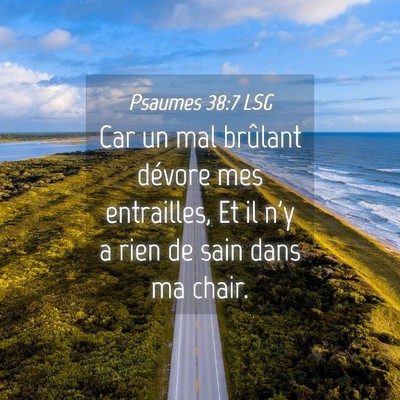 Picture 04 - Psaumes 38:7 LSG - Car un mal brûlant dévore mes entrailles, Et il - Bible Verse Picture