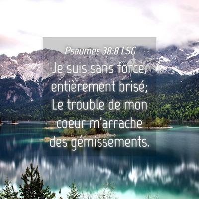 Picture 04 - Psaumes 38:8 LSG - Je suis sans force, entièrement brisé; Le - Bible Verse Picture