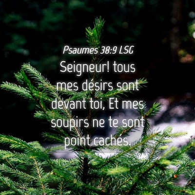 Picture 04 - Psaumes 38:9 LSG - Seigneur! tous mes désirs sont devant toi, Et - Bible Verse Picture