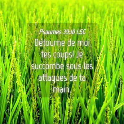 Picture 04 - Psaumes 39:10 LSG - Détourne de moi tes coups! Je succombe sous les - Bible Verse Picture