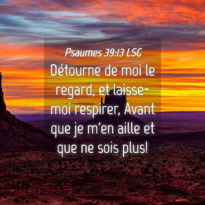 Picture 04 - Psaumes 39:13 LSG - Détourne de moi le regard, et laisse-moi - Bible Verse Picture