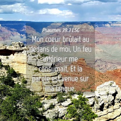 Picture 04 - Psaumes 39:3 LSG - Mon coeur brûlait au dedans de moi, Un feu - Bible Verse Picture