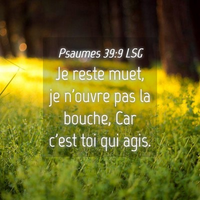 Picture 04 - Psaumes 39:9 LSG - Je reste muet, je n'ouvre pas la bouche, Car - Bible Verse Picture