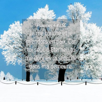 Picture 04 - Psaumes 4:8 LSG - Je me couche et je m'endors en paix, Car toi - Bible Verse Picture