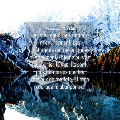 Picture 04 - Psaumes 40:12 LSG - Car des maux sans nombre m'environnent; Les - Bible Verse Picture