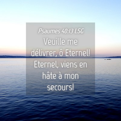 Picture 04 - Psaumes 40:13 LSG - Veuille me délivrer, ô Eternel! Eternel, viens - Bible Verse Picture