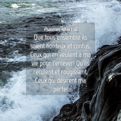 Picture 04 - Psaumes 40:14 LSG - Que tous ensemble ils soient honteux et confus, - Bible Verse Picture