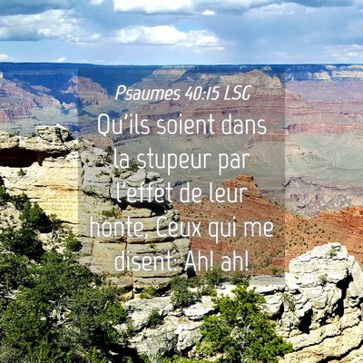 Picture 04 - Psaumes 40:15 LSG - Qu'ils soient dans la stupeur par l'effet de leur - Bible Verse Picture