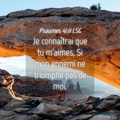 Picture 04 - Psaumes 41:11 LSG - Je connaîtrai que tu m'aimes, Si mon ennemi ne - Bible Verse Picture