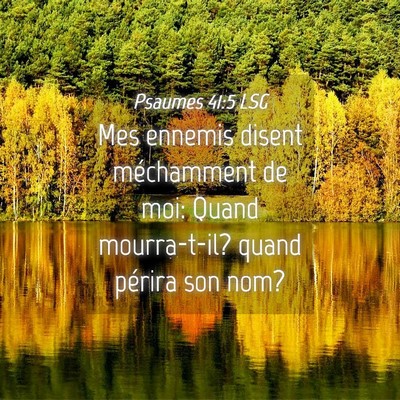 Picture 04 - Psaumes 41:5 LSG - Mes ennemis disent méchamment de moi: Quand - Bible Verse Picture