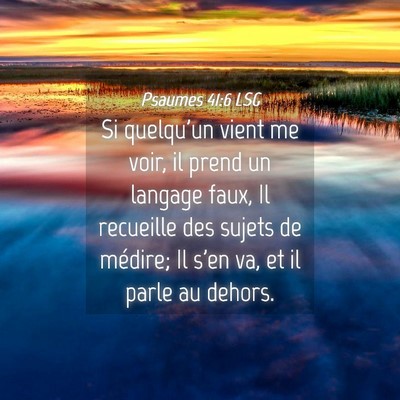 Picture 04 - Psaumes 41:6 LSG - Si quelqu'un vient me voir, il prend un langage - Bible Verse Picture