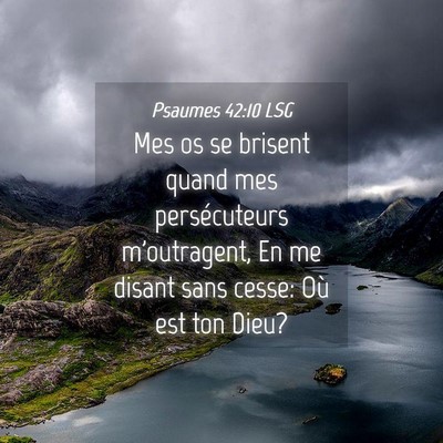 Picture 04 - Psaumes 42:10 LSG - Mes os se brisent quand mes persécuteurs - Bible Verse Picture