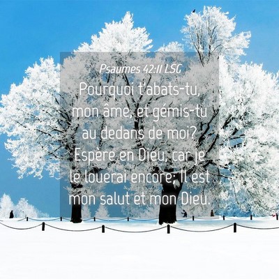 Picture 04 - Psaumes 42:11 LSG - Pourquoi t'abats-tu, mon âme, et gémis-tu au - Bible Verse Picture