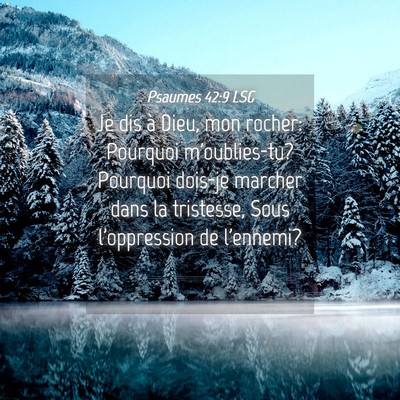 Picture 04 - Psaumes 42:9 LSG - Je dis à Dieu, mon rocher: Pourquoi - Bible Verse Picture