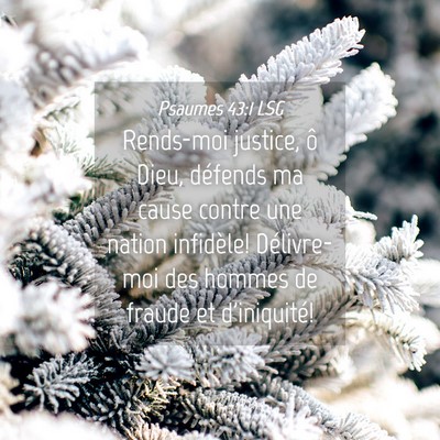 Picture 04 - Psaumes 43:1 LSG - Rends-moi justice, ô Dieu, défends ma cause - Bible Verse Picture