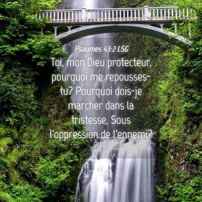 Picture 04 - Psaumes 43:2 LSG - Toi, mon Dieu protecteur, pourquoi me - Bible Verse Picture