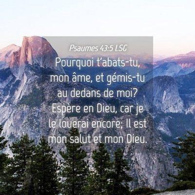 Picture 04 - Psaumes 43:5 LSG - Pourquoi t'abats-tu, mon âme, et gémis-tu au - Bible Verse Picture