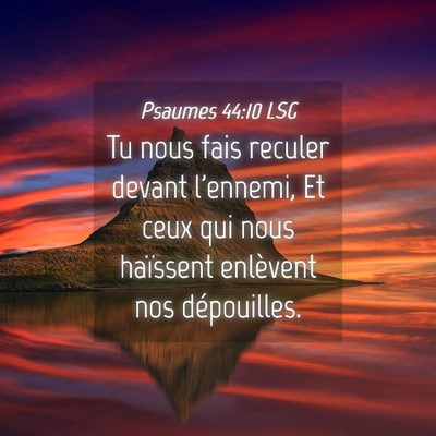 Picture 04 - Psaumes 44:10 LSG - Tu nous fais reculer devant l'ennemi, Et ceux qui - Bible Verse Picture
