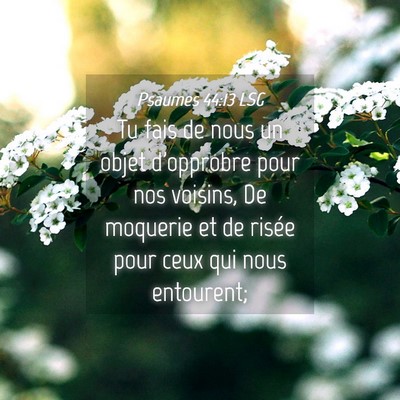Picture 04 - Psaumes 44:13 LSG - Tu fais de nous un objet d'opprobre pour nos - Bible Verse Picture