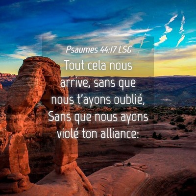 Picture 04 - Psaumes 44:17 LSG - Tout cela nous arrive, sans que nous t'ayons - Bible Verse Picture