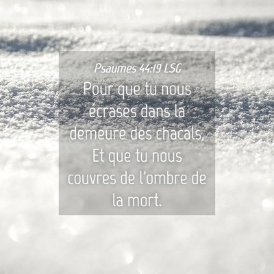 Picture 04 - Psaumes 44:19 LSG - Pour que tu nous écrases dans la demeure des - Bible Verse Picture