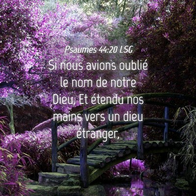 Picture 04 - Psaumes 44:20 LSG - Si nous avions oublié le nom de notre Dieu, Et - Bible Verse Picture