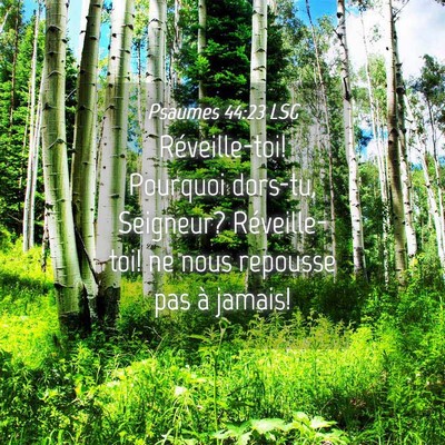 Picture 04 - Psaumes 44:23 LSG - Réveille-toi! Pourquoi dors-tu, Seigneur? - Bible Verse Picture