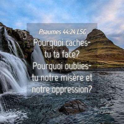 Picture 04 - Psaumes 44:24 LSG - Pourquoi caches-tu ta face? Pourquoi oublies-tu - Bible Verse Picture