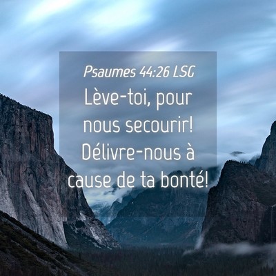 Picture 04 - Psaumes 44:26 LSG - Lève-toi, pour nous secourir! Délivre-nous à - Bible Verse Picture