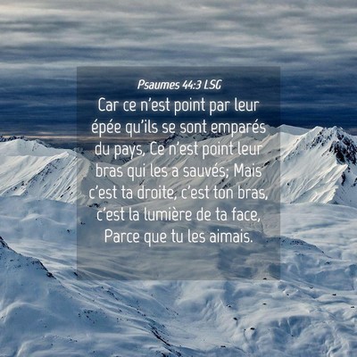 Picture 04 - Psaumes 44:3 LSG - Car ce n'est point par leur épée qu'ils se sont - Bible Verse Picture