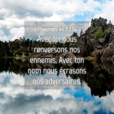 Picture 04 - Psaumes 44:5 LSG - Avec toi nous renversons nos ennemis, Avec ton - Bible Verse Picture